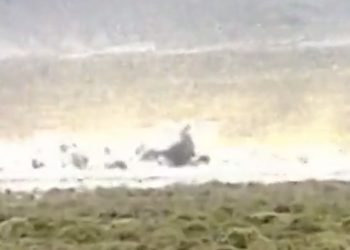 우크라 전쟁 대량 학살전 시작되나..새국면(영상)