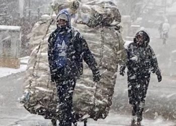 “마법 같다”…남아공 요하네스버그에 폭설(영상)