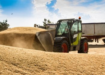 벌써부터 ‘들썩’…글로벌 식량난·곡물가 급등 ‘들썩’