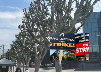 ‘꼼수’ 유니버설, 폭염 속 돌연 가로수 가지치기…시위대에 그늘 못내줘