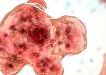 네바다서 2살 아이 ‘뇌 먹는 아메바’ 감염 사망