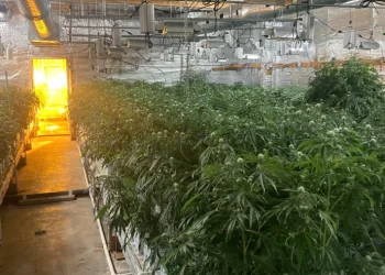 “경찰도 놀랐다” LA다운타운 빌딩 대량 실내재배 적발