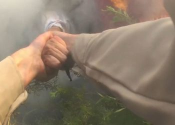 화염 휩싸인 차에 뛰어든 경관, 목숨 건 구조 화제(영상)