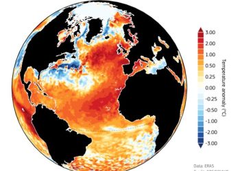 지구촌 7월 첫주 역사상 가장 더웠다(영상)