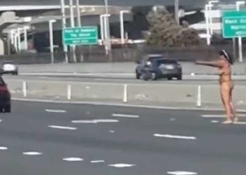 프리웨이 한복판서 나체 여성 총격 …샌프란 베이브리지(영상)