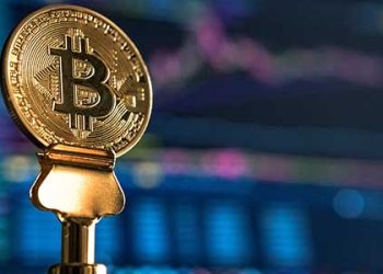 “FBI가 고객센터?”…’하이브’가 공격한 300여곳에 복원키 제공