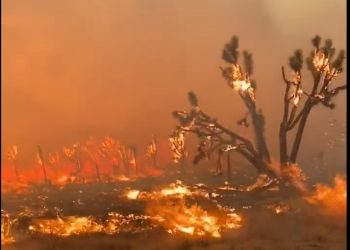 남가주 ‘요크 산불’, 강풍 타고 네바다 번져…진화율 0%(영상)