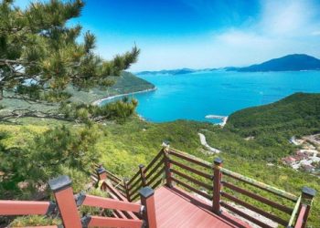 [한국 가면] 무더위 쉼은 호수·바다·숲 어우러진 ‘남도 숲길’ 5곳