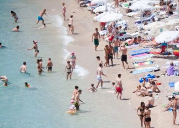 해변 깨끗해지자 상어 출현…물림 사고 속출