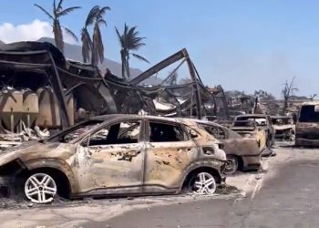 참혹한 마우이, 사망 93명…신원파악2명, 수색 3%(영상)