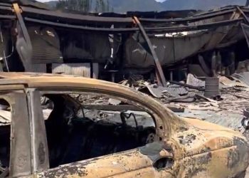 참혹한 마우이, 사망 93명…신원파악2명, 수색 3%(영상)