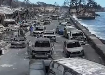 “산불 사망자 1천명 넘을 수도” 실종자 1300여명, 하루 10-20구 시신 발견(영상)