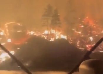 캐나다서부 ‘100년치 산불’…비상사태선포, 수만명 대피(영상)