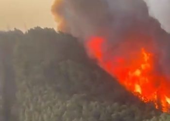 스페인 테네리페섬 대형산불 ‘방화’ 의심…1만명 넘게 대피