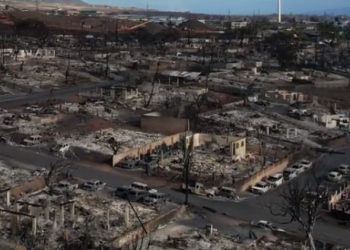 마우이섬 사망자 현재 115명…”1000명 넘을 수 있다”(영상)