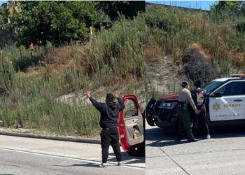 붙잡히는 떼강도들…나이키 매장 절도범들 10명 추가체포