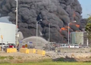 루이지애나, 역대급 이례적 화재 확산..600여 곳 불타는 중(영상)