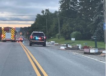 500만 마리 꿀벌 든 양봉 상자 고속도로 쏟아져