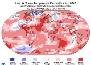 해수 평균온도 섭씨 20.96도…역대 최고기록