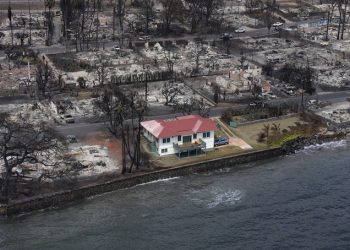 대화재 속 홀로 멀쩡…라하이나 ‘기적의 집’ 비결