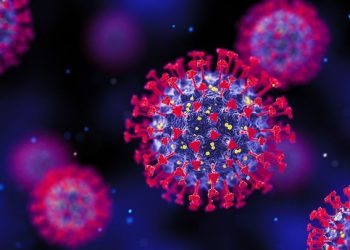 돌기 30개 코로나 새 변이 ‘피롤라’ 주목