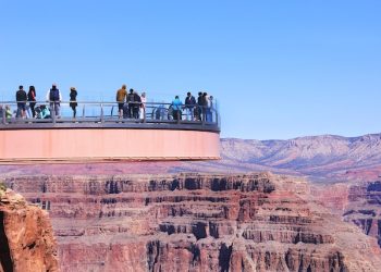 그랜드캐년 관광버스 전복..1명 사망, 56명 부상