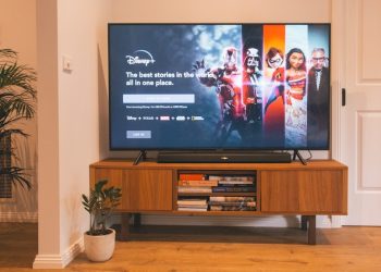 디즈니+ 비번 공유단속 시작…가입자감소 불구 구독료 인상