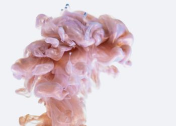 깜빡깜빡 건망증, 뇌 속 회충 때문이었다