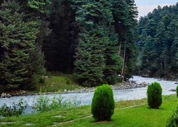 선랜드 주택가에 왜  갑자기 피서객들이?…주민들 짜증