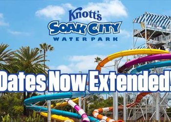 넛츠 소크 시티, 물놀이 성추행범 체포