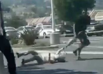 가방 훔치려 아시안 할머니 땅바닥에 질질 끌고 가..영상 충격적(영상)