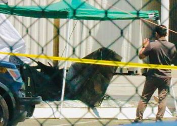 밴나이스 공항 항공기 추락 2명 사망