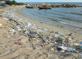 “박테리아 범벅” 해양관리국, 남가주 해변 입수금지령