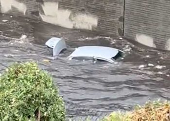 허리케인 휴교령, 적절한 조치였나