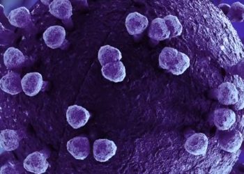 가주 등 ‘돌연변이 36개’ 새변이 확산…새부스터샷(영상)