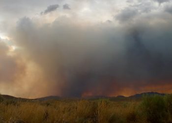 “캘리포니아, 수십 년 간 대규모 화재 계속될 것”