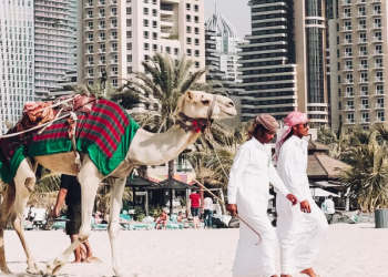 “중동, 골드러시 방불”…사우디·UAE는 전세계 현금인출기