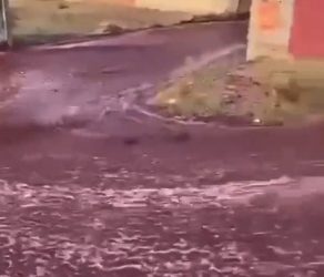 ‘와인이 강물처럼 콸콸’…와인 저장고 폭발(영상)