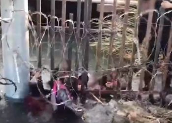 “철조망을 넘어서라도” 국경 밀입국 급증(영상)