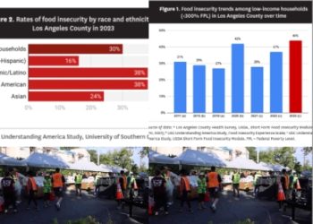 LA 주민 100만명 ‘끼니걱정’…한인 등 아시안 24% ‘끼니 불안’