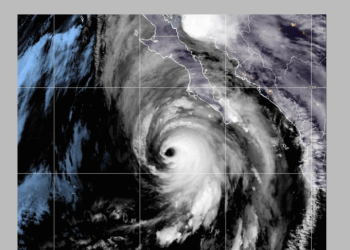 [케이뉴스 전자신문] 2023년 8월 19일 토요일