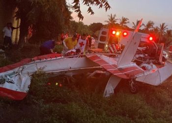 임신축하 비행 중 추락…경비행기 조종사 참변(영상)