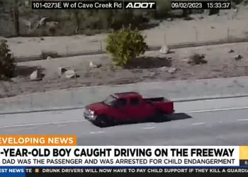 “운전해볼래?” 10살 아들에 트럭운전 맡긴 남성 체포