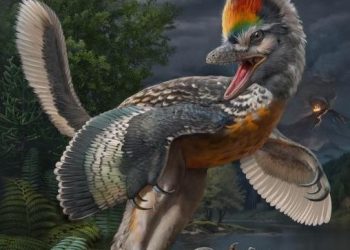 中서 신종 공룡 화석 발견…긴 다리 가진 새 모양