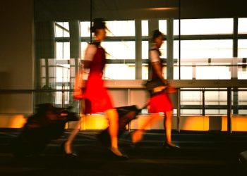 “승무원과 하룻밤 200만원”…베트남 성매매 일당 검거