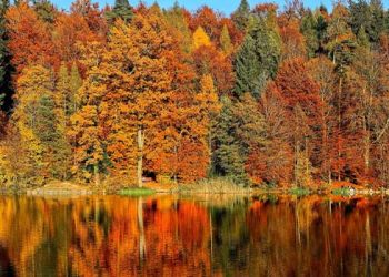 가을 풍경 아름다운 캘리포니아 단풍 명소들 어디?