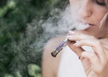 캘리포니아, 암스테르담식 마리화나 카페 허용.. 뉴섬 서명 남아