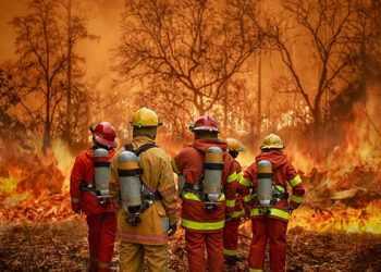 “지구에서 앞으로 야외활동 못할 것” 과학자 29명 경고