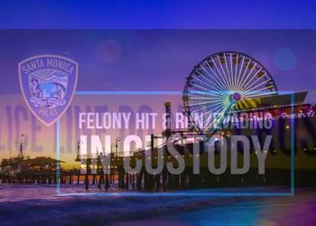 도주하다 산타모니카 피어에 갇힌 마리화나 운전자