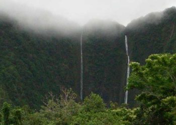 캘리포니아 관광객, 하와이 폭포서 추락 사망